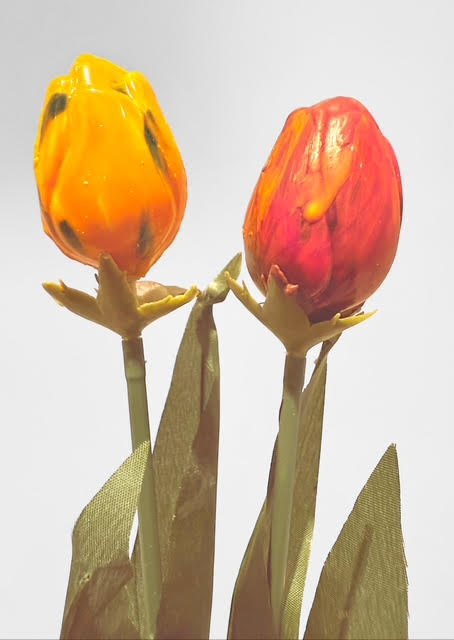 Tulpen in al zijn kleuren